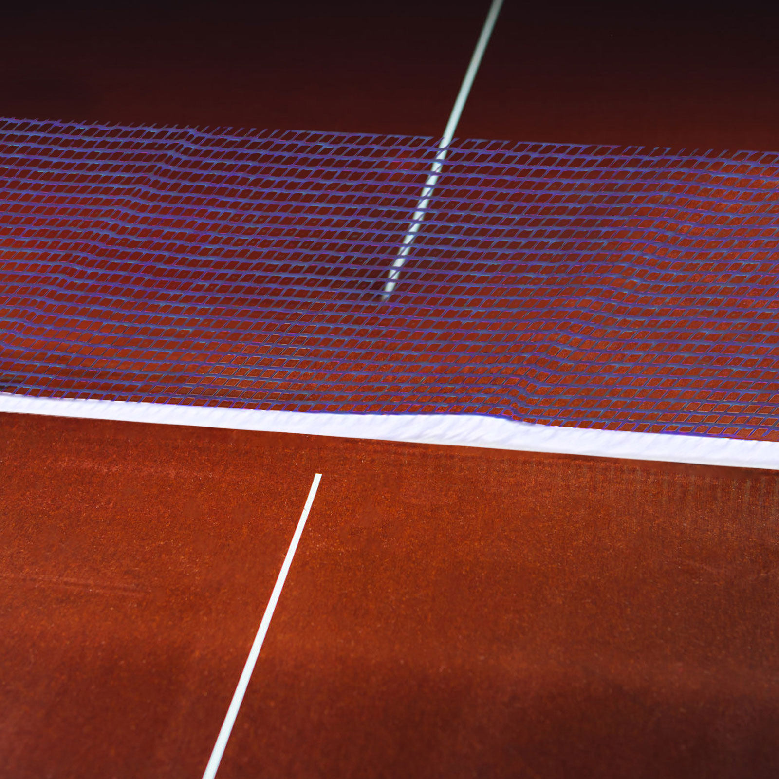 Portable Table Tennis Net and  - đánh giá và giá Table Tennis Net Set