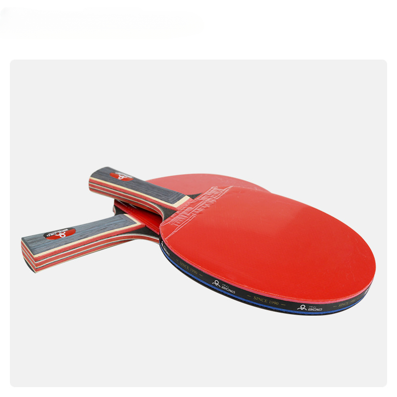 Training Entertainment 2 Racke - đánh giá và giá Table Tennis Net Set