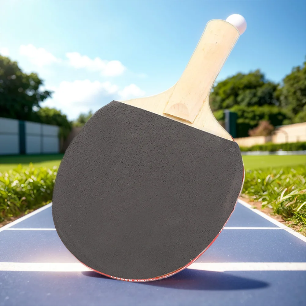 Table Tennis Set with Table Te - đánh giá và giá Table Tennis Net Set